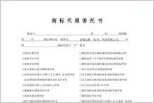 转让人与受让人分别签署的代理委托书